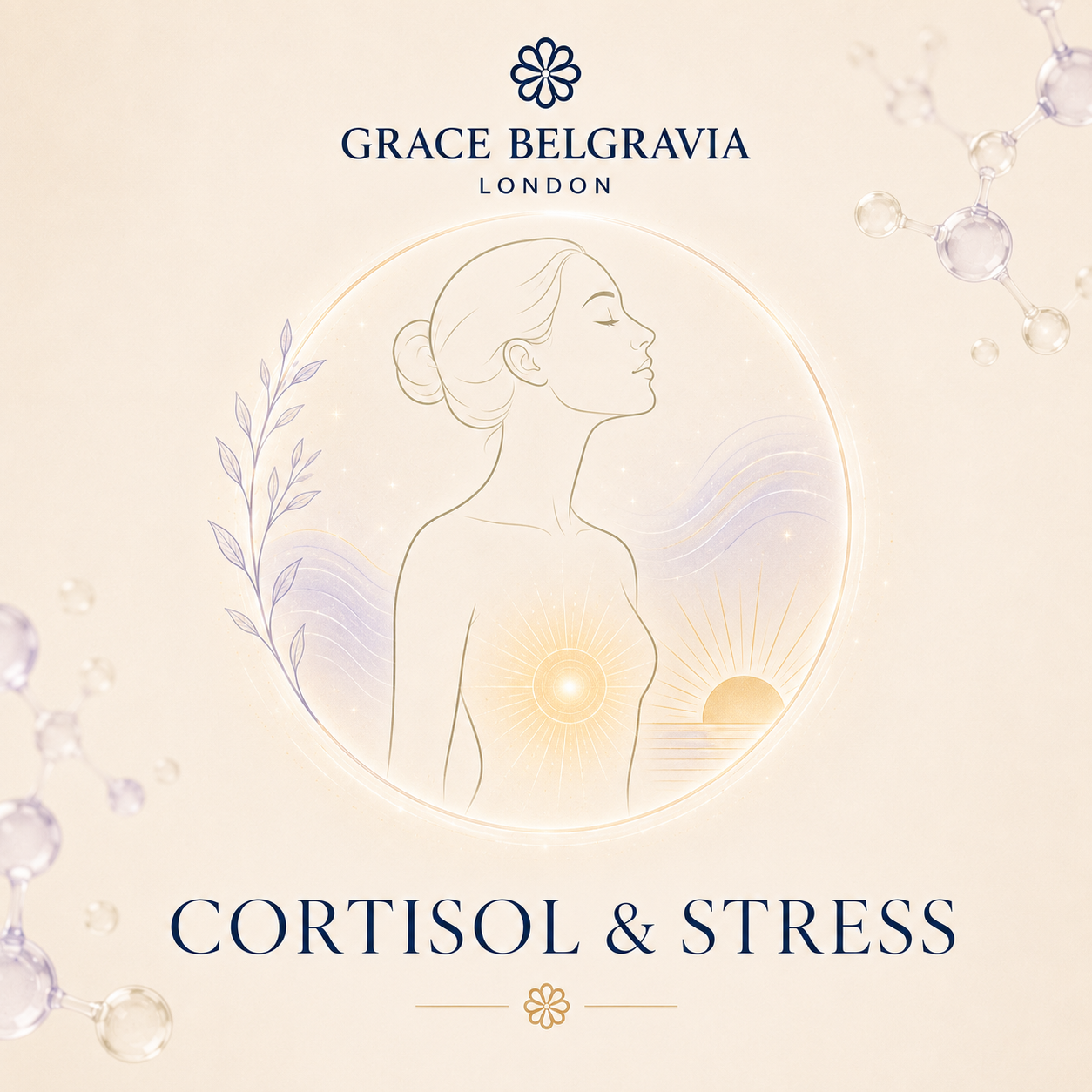 Cortisol & Stress Blood Test Home Kits UK