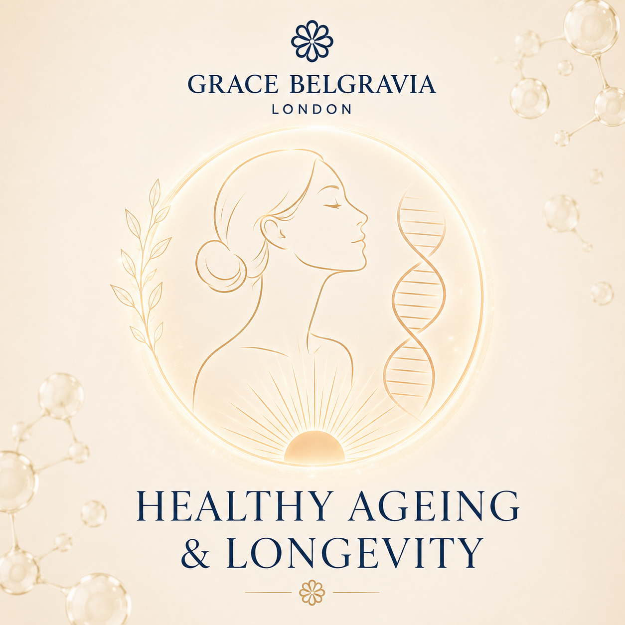 Healthy Ageing & Longevity Blood Test Home Kits UK