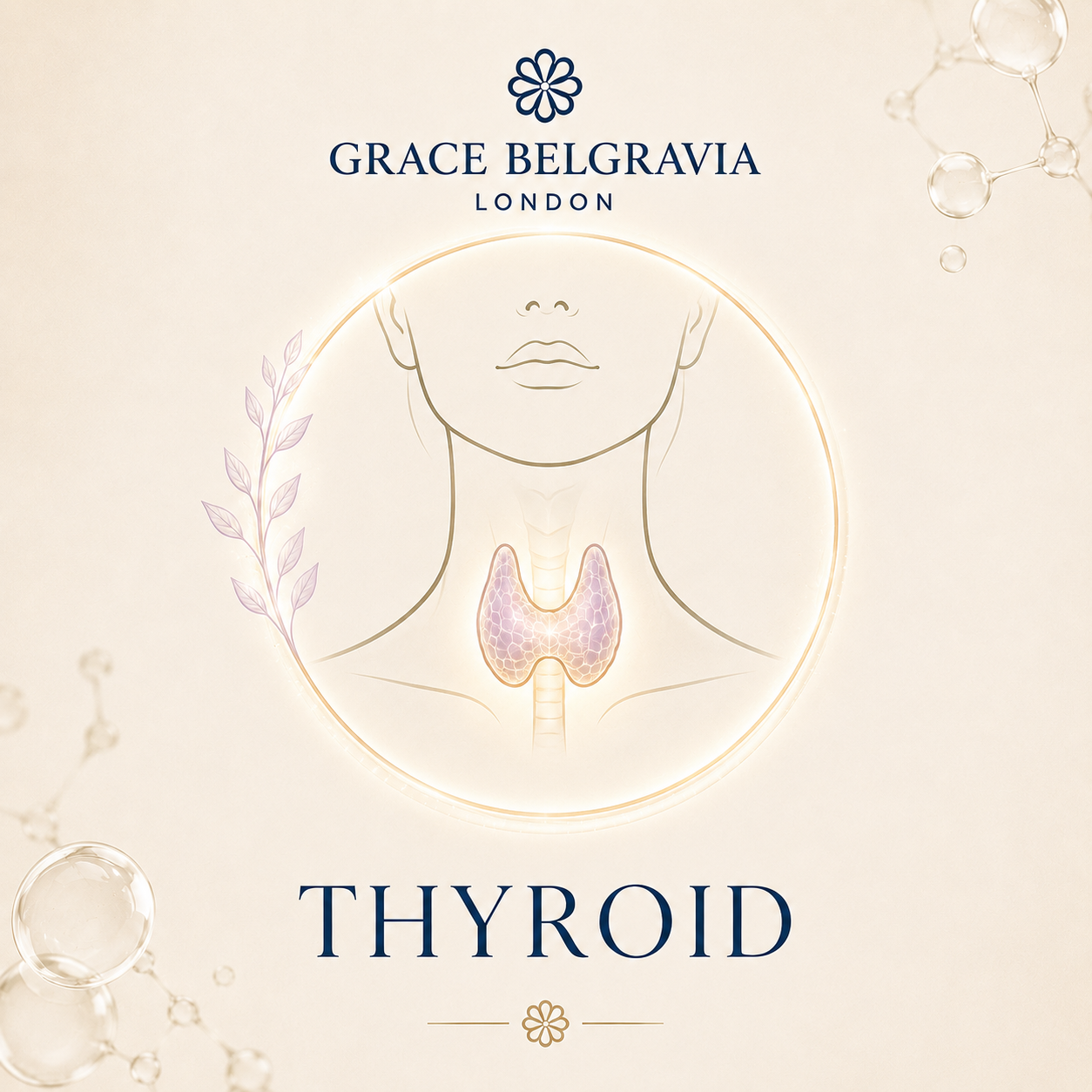 Home Thyroid Test Kit UK - TSH, T3 & T4 Blood Test