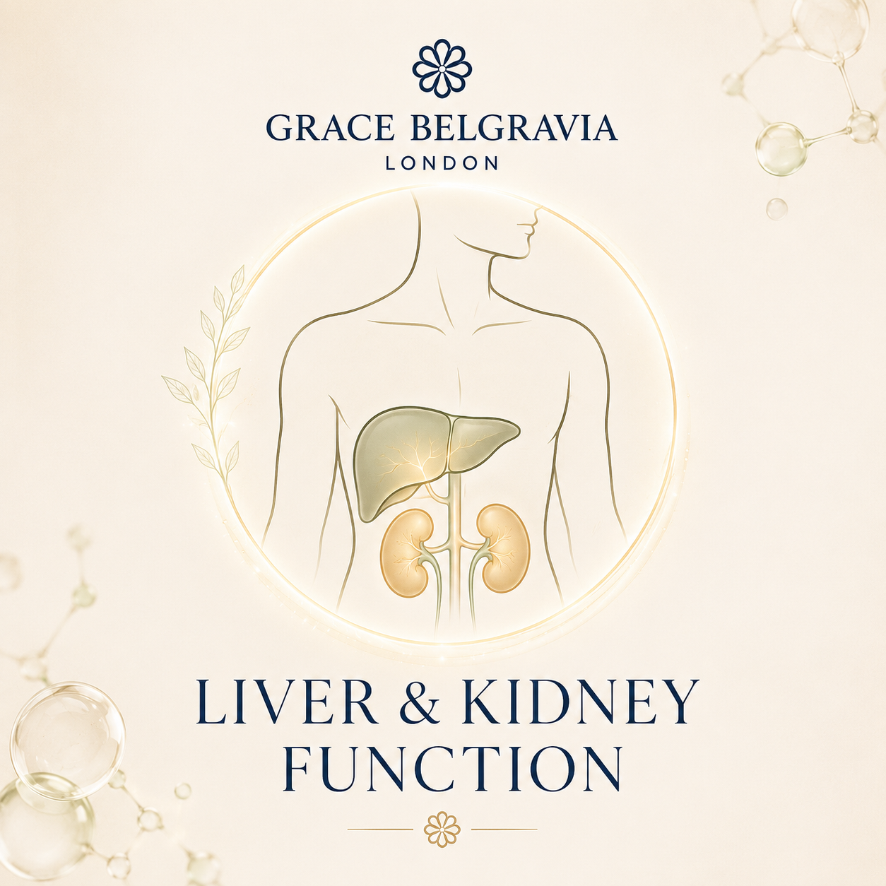 Liver & Kidney Function Blood Test Home Kits UK