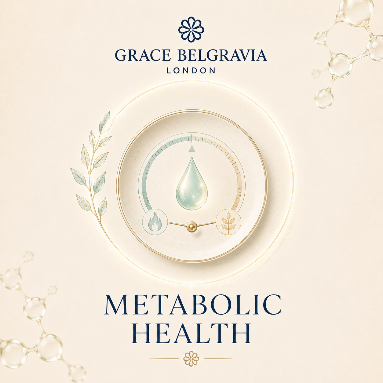 Metabolic Health Blood Test Home Kits UK